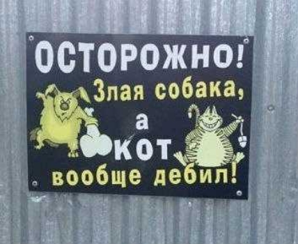 00Т0іожног Зпая собака Жид вообще де ип