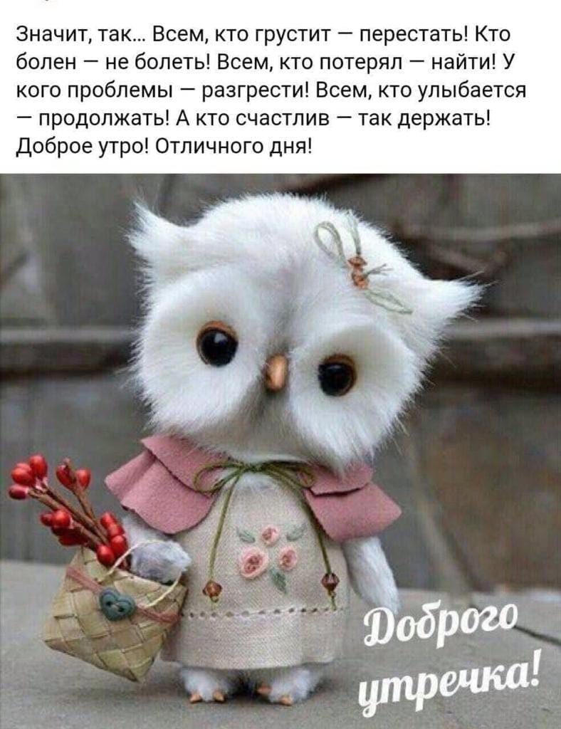 Значит так Всем кто грустит перестать Кто болен не болеть Всем кто потерял найти У кого проблемы разгрести Всем кто улыбается продолжать А кто счастлив так держать Доброе утро Отличного дня
