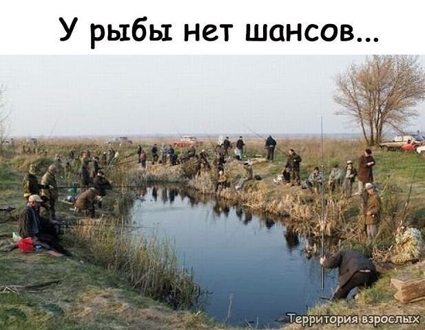 У рыбы нет шансов