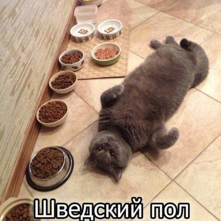 И Ш деки В