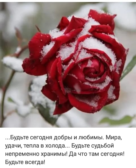Будьте сегодня добры и любимы Мира удачи тепла в холода Будьте судьбой непременно хоанимы Да что там сегодня Будьте всегда