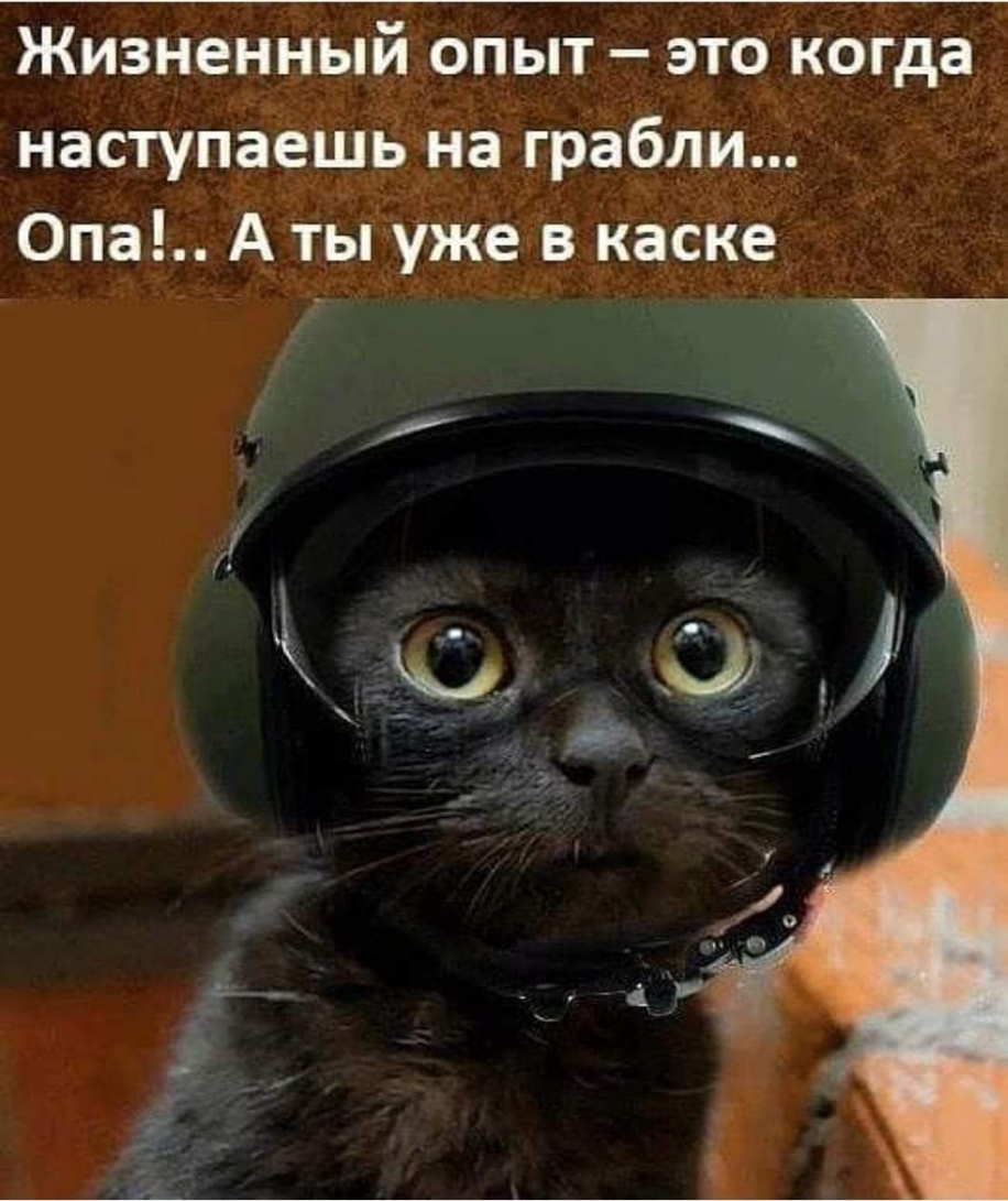 Жизненный опыт это когда _ наступаешь на грабли 0па А ты уже в каске