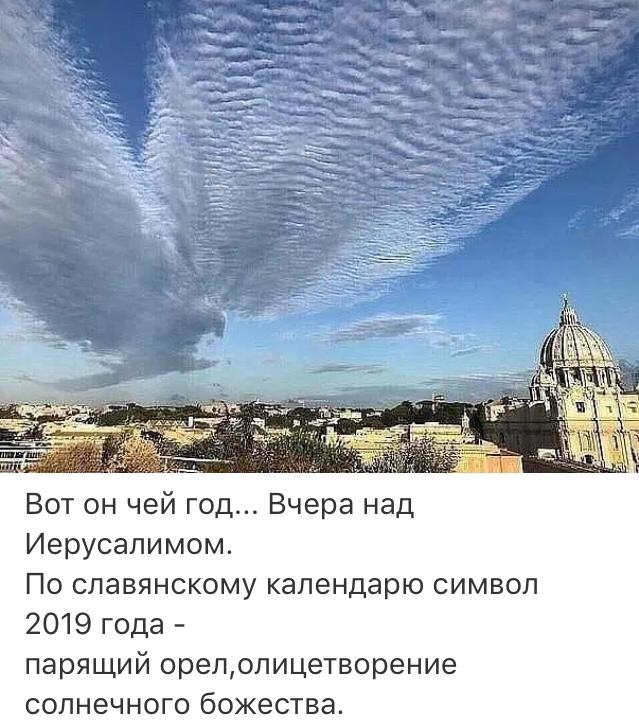 Вот он чей год Вчера над Иерусалимом По славянскому календарю символ 2019 года парящий орелопицетворение солнечного божества