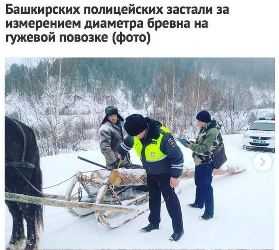 Башкирских полицейских застали за измерением диаметра бревна на гужевой повозке фото