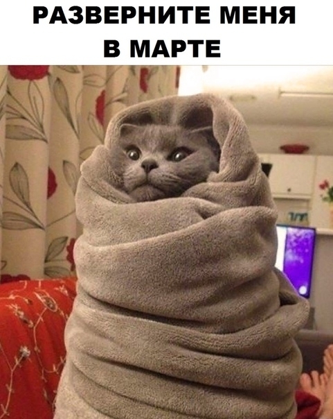 РАЗВЕРНИТЕ МЕНЯ В МАРТЕ