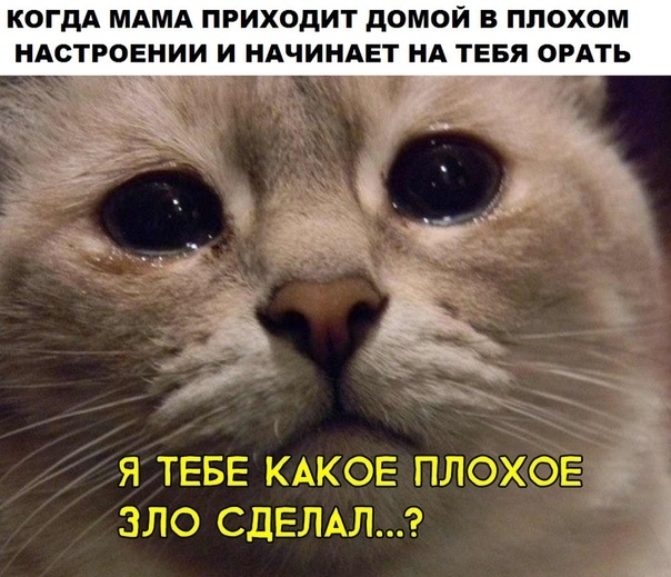когдА МАМА приходит домой в плохом НАСТРОЕНИИ и НАЧИНАЕТ НА тввя ОРАТЬ