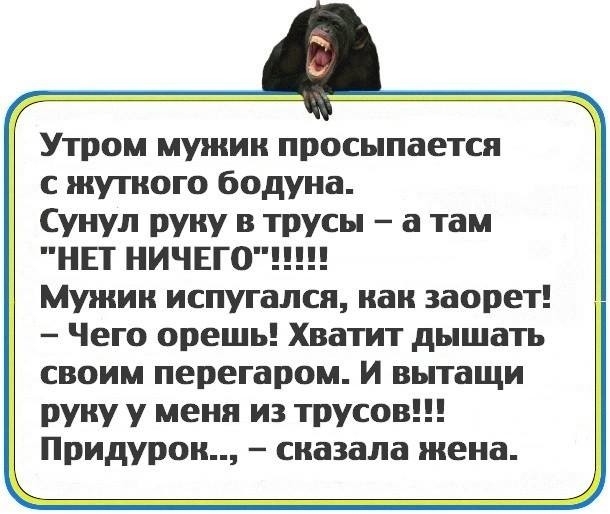 Утром мужик просыпается с жуткого бодуна Сунул руку в трусы а там НП НИЧЕГО Мужик испугался как заорет Чего орешь Хватит дышать своим перегаром И вытащи руку у меня из трусов Придурок сказала жена