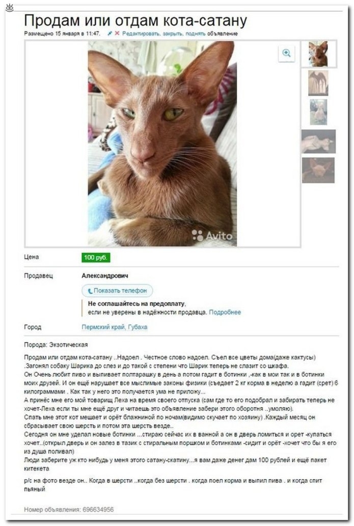 продам ИЛИ отдам кота сатану ишжзьщпш шк м штобы мм Ц Про вц п плюс и сал ш ты и мы и мест и пром ш поло мое ГОРОД пвп ті Фді губ пжл этиш продам ит ммм ппу нтеп чести доед ие шем ш ши мну и Экшн сабжу шпик и до шей пеши т шем пиво и наш ко шт си Ми обипипвипыппіьппв6тт шши бшиш и а еще мм не щем ие шшн Физики ими кии не ст пм ине нищим дим кк у мы это мантия уп пишу мм пм пеш цитату лицензию ибии