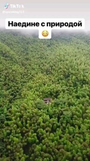 Наедине с природой