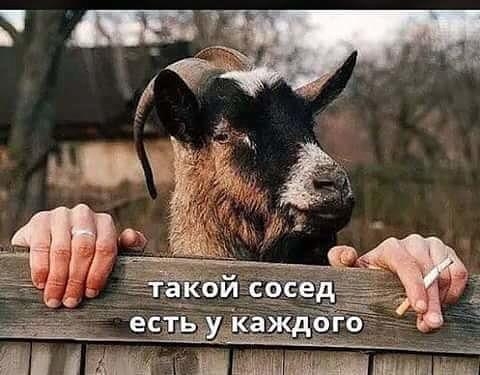 Ш ЬЬМШ ппц ЁЁ