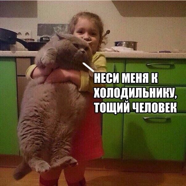 д _ _ Ю МЕШЬ ипппдипьниш тощийччювън