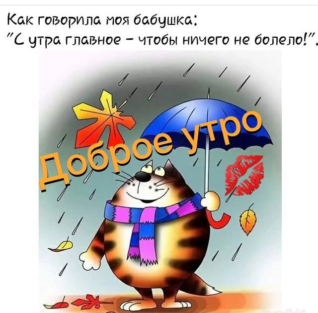 Как говорила моя бабушка С утра главное чтобы ничего не болит
