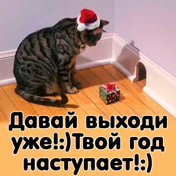 довай выходи ужеПвой год наступаеты