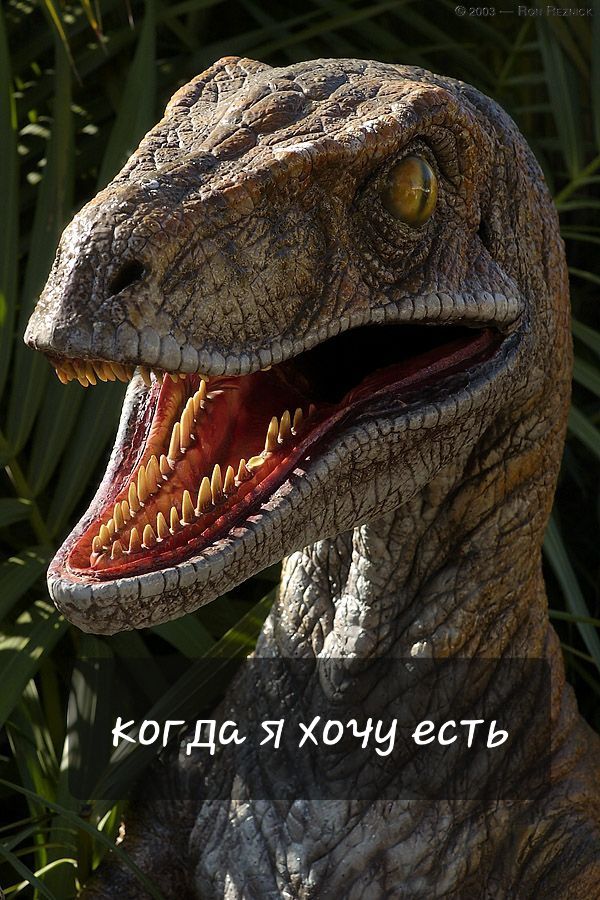 А у копде я хочу есть