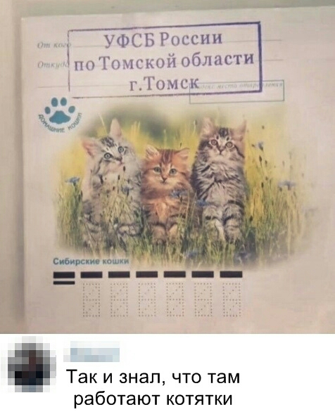 УФСБ России 1 по Томской области Так и знал что там работают котятки