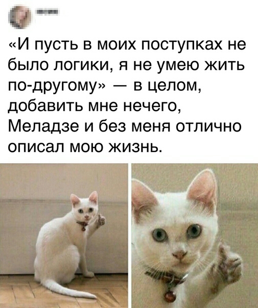 И пусть в моих поступках не было логики я не умею жить по другому в целом добавить мне нечего Меладзе и без меня отлично ОПИСЗЛ МОЮ ЖИЗНЬ