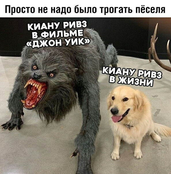 Просто не надо было трогать пёселя