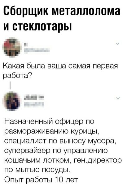 Сборщик металлолома и стеклотары Какая была ваша самая первая работа Назначенный офицер по размораживанию курицы специалист по выносу мусора супервайзер по управлению кошачьим лотком гендиректор ПО МЫТЬЮ ПОСУДЫ Опыт работы 10 лет