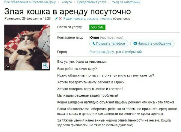 Злая кошка в аренду посуточно и _ мщ типт ю Ицттмфоч ц виду ш в и ш щ мы я ч пиши с _ и _ в шыши шир зн Ф и