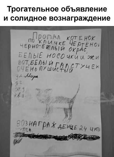Трогательное объявление и солидное вознаграждение БЕЛЫЕ ноёдчки и жи ВОТ БЕЛЫ И СЧЕНЬ ПУШИЕЯДЕТ УЧЕх и ВОЗНВ Гра Ж дем Вань РеЖ 4ЕНцЕ 25 цуп т вощесоданн нае