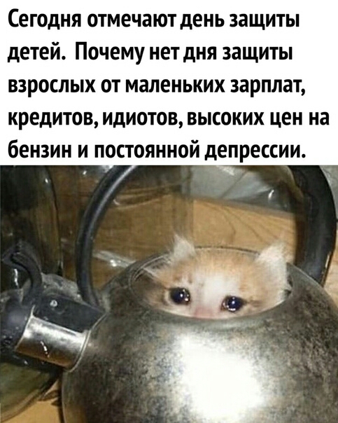 Сегодня отмечают день защиты детей Почему нет дня защиты взрослых от маленьких зарплат кредитов идиотов высоких цен на бензин и постоянной депрессии