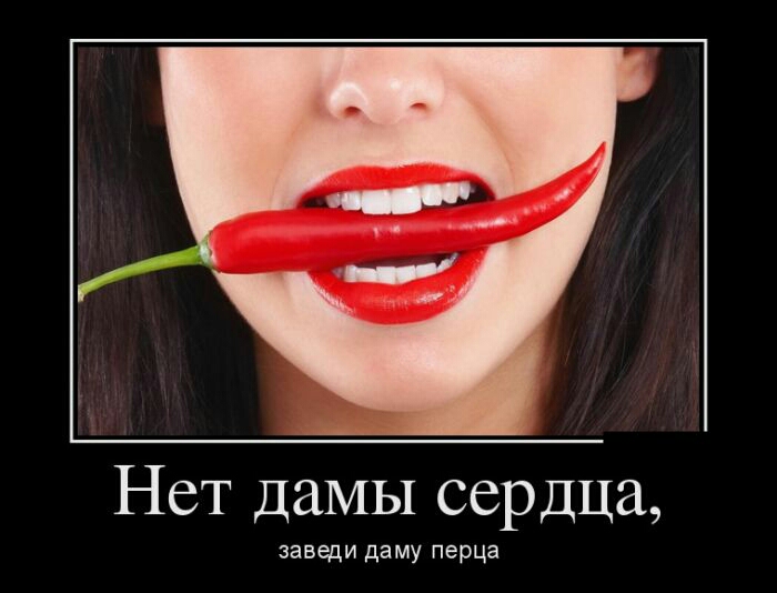 Нет дамы сердца заведи даму перца
