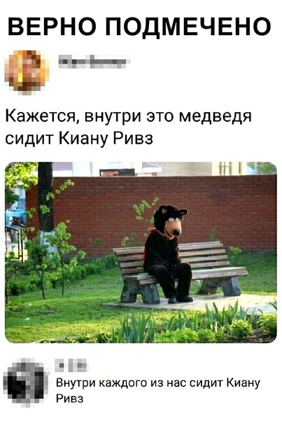 ВЕРНО ПОДМЕЧЕНО Кажется внутри это медведя сидит Киану Ривз и Виутри каждого из нас сидит Киану Ривз