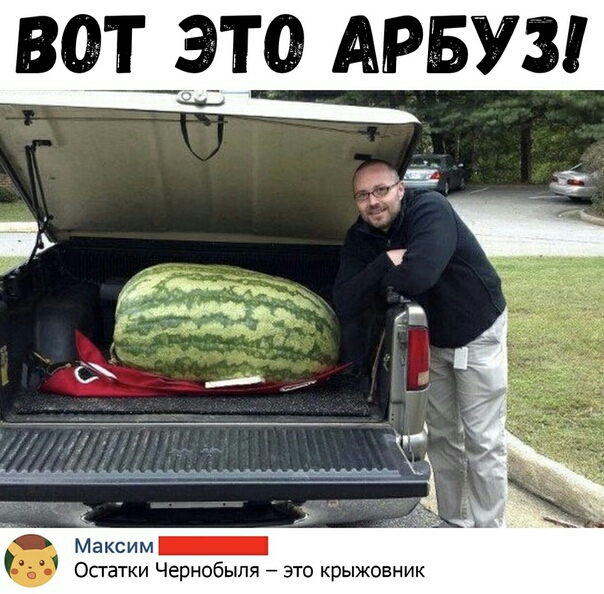 ВОЪЗТО АРБУЗ Максим Остатки Чернобыля то крыжовник