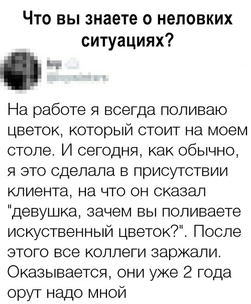 Что вы знаете о неловких ситуациях На работе я всегда поливаю цветок который стоит на моем стопе И сегодня как обычно я это сделала в присутствии клиента на что он сказал девушка зачем вы поливаете искуственный цветок7 После этого все коллеги заржали Оказывается они уже 2 года орут надо мной
