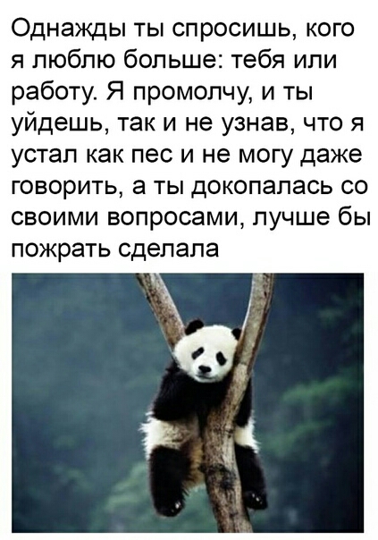 Однажды ты спросишь кого я люблю больше тебя или работу Я промолчу и ты уйдешь так и не узнав что я устал как пес и не могу даже говорить а ты докопалась со своими вопросами лучше бы пожрать сделала