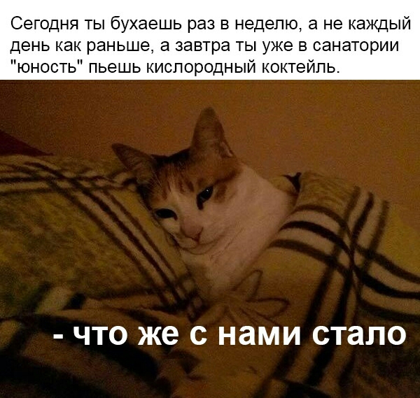 Сегодня ты бухаешь раз в неделю а не каждый день как раньше а завтра ты уже в санатории юность пьешь кислородный коктейль ЧТО же С нами стало