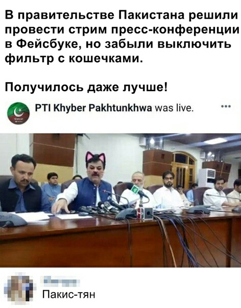 В правительстве Пакистана решили провести стрим пресс конференции в Фейсбуке но забыли выключить фильтр с кошечками Получилось даже лучше РТ КЬуЬег РаКЬшпКЬша щаз іе Пакистян