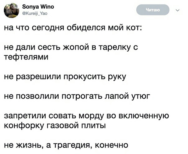 Зопуа іпе Кшеш Узи на что сегодня обиделся мой кот не дали сесть жопой в тарелку тефтелями не разрешили прокусить руку не позволили потрогать лапой утюг запретили совать морду во включенную конфорку газовой плиты не ЖИЗНЬ а трагедия КОНЕЧНО