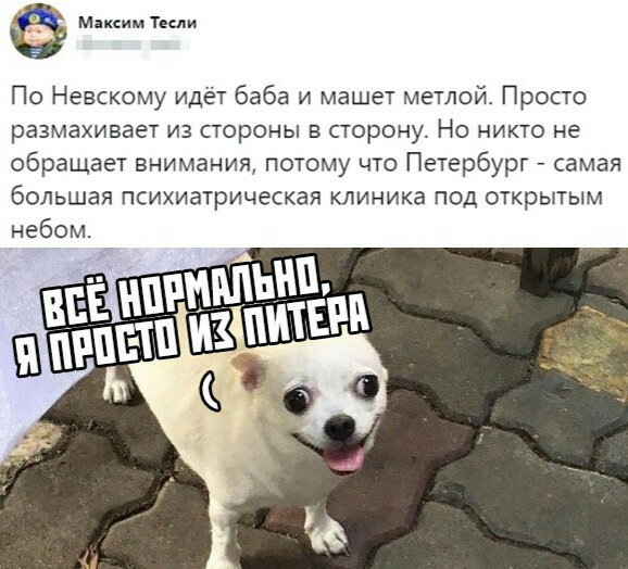 6 м Твиди По Невскому идёт баба и машет метлой Просто размахивает из стороны в сторону Но никто не обращает внимания потому что Петербург самая большая психиатрическая клиника под открытым небом