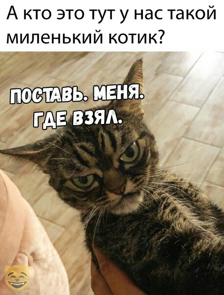 А кто это тут у нас такой миленький котик
