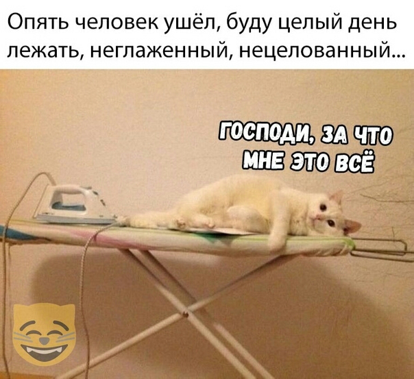 Опять человек ушёл буду целый день лежать неглаженный нецелованный шалом зд что у мин это всЁ