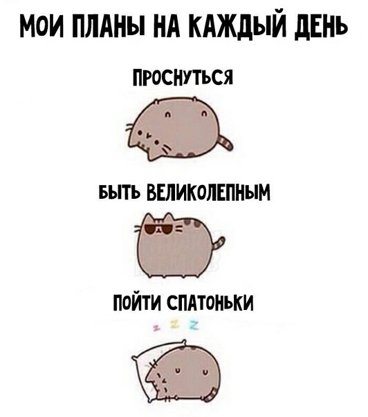 мои плАны нд кдждый дЕНь ПРОСНУТЪСЯ выть ВЕЛИКОЛЕПНЫМ пойти спдтоньки