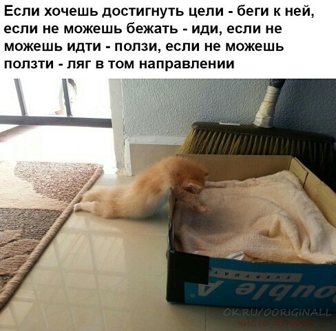 Если хочешь достигнуть цепи беги к ней если НЕ МОЖЕШЬ бежать иди ЕСЛИ не можешь идти ползи если не можешь ПОПЗТИ ПЯГ Е ТОМ направлении