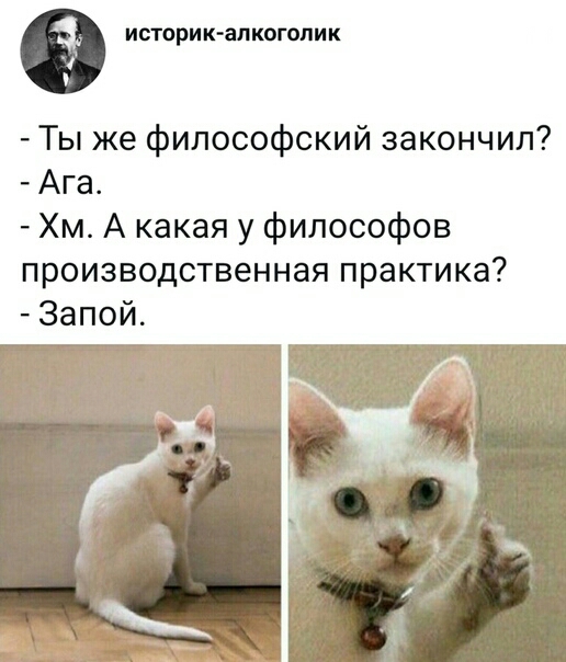 историк алкоголик Ты же философский закончил Ага Хм А какая у философов производственная практика Запой
