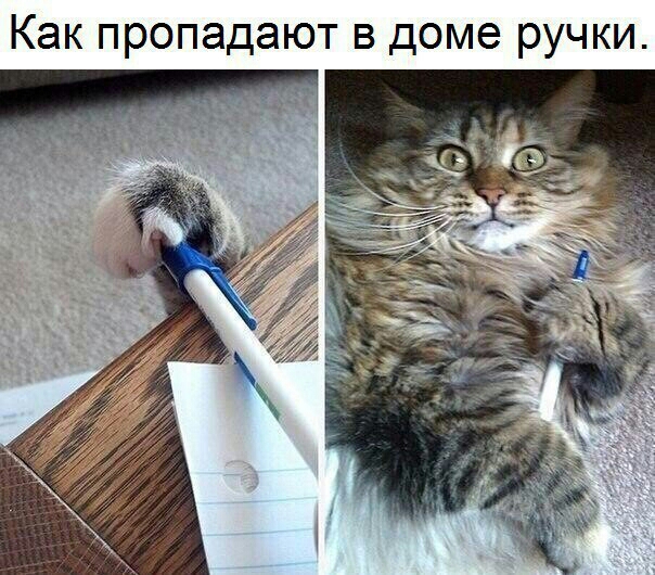 Как пропадают в доме ручки