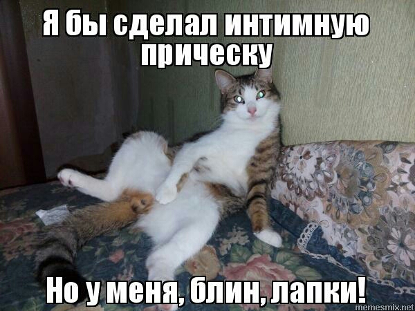 я бы сделал интиілнмю ппичепн