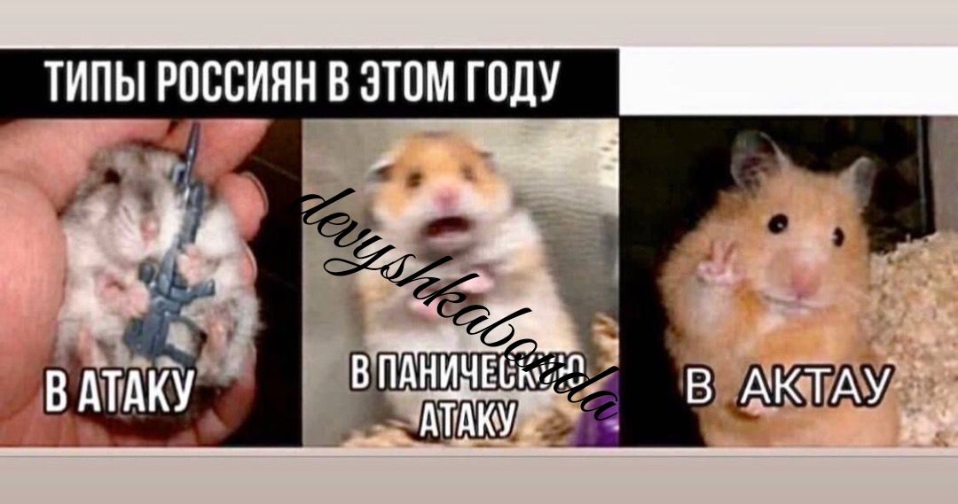 ТИПЫ РПСВИНН ВЗТПМ ПЩУ