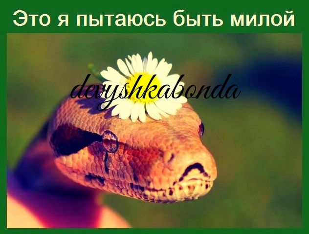 Это я пытаюсь быть милой