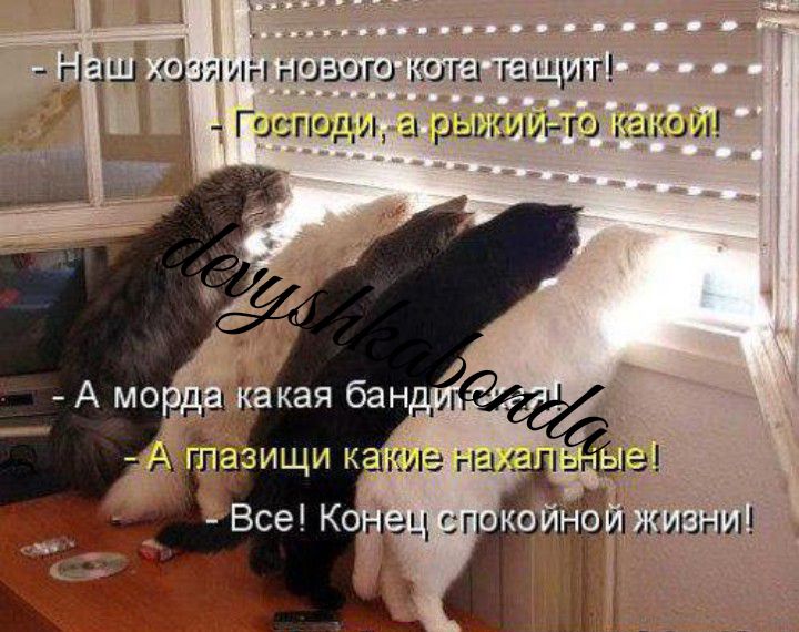 Наш дии Нового ниш шщиг Господи 31 ыШИГ гц сг ЁЕ и ниш и