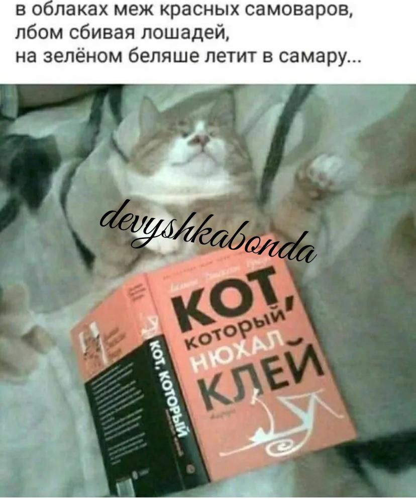 в о паках меж красных самоваров лбом сбивая лошадей на зелёном бепяше летит самару