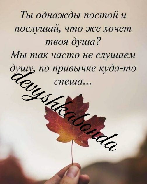 Ты однажды постой и послушай что же хочет твоя душа Мы так часто не слушаем душ по привычке куда то спеша
