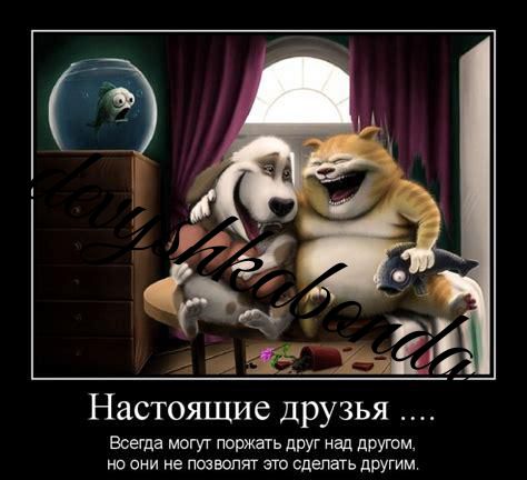 Настоящие друзья Всегда могуг поржать друг над другом но они не позвони это сделать другим
