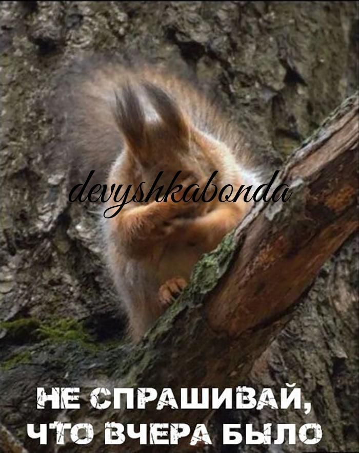 НЕЁНРАШИВА _ЧЁОВЧЕРА выде