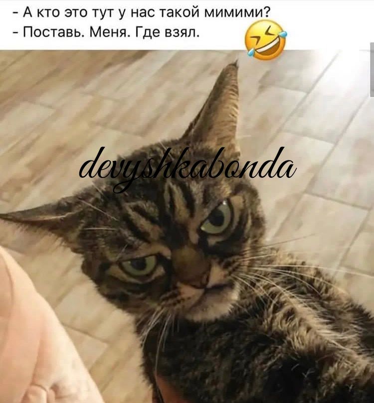 А кто это тут у нас такой мимими _ Поставь Меня Где взял