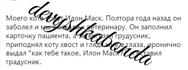 приподнял коту хвост и гл лава роничио выдал как Тебе такое Илон Ма градусник